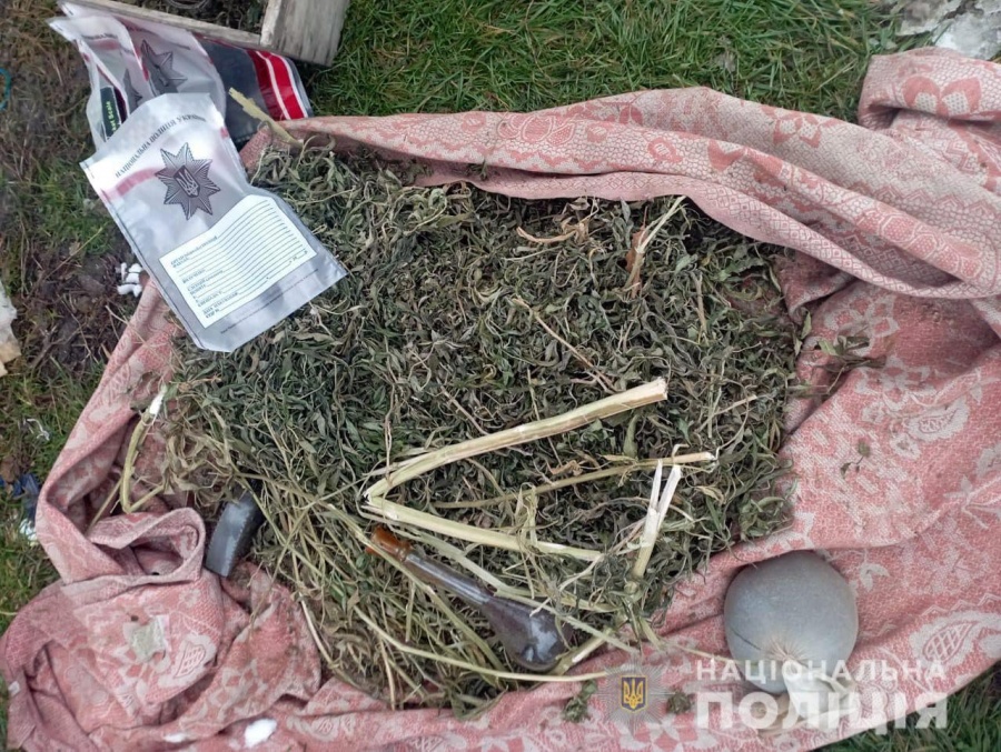 На Рівненщині поліцейські вилучили канабісу на понад півмільйона гривень