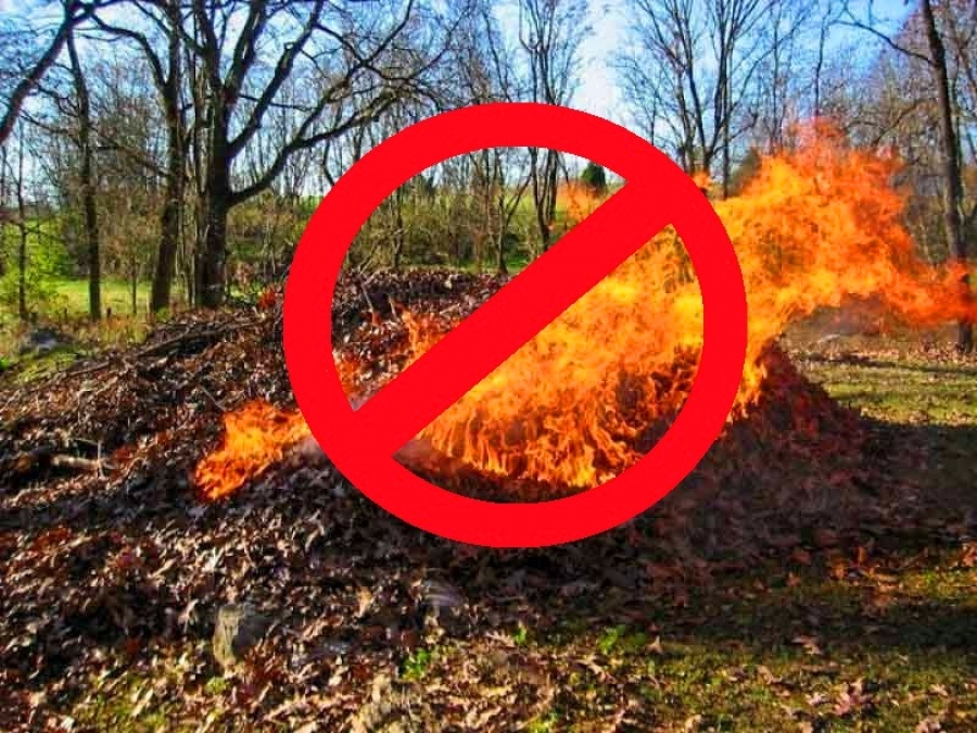 Рівнянам вкотре нагадують про заборону спалювання сухого листя та сміття