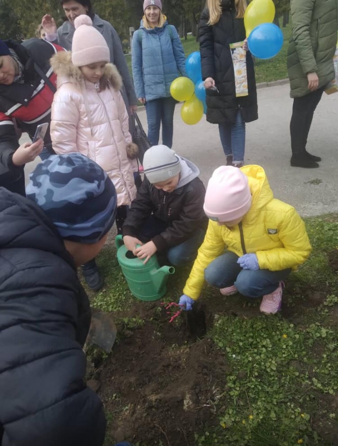 У Рівному розквітне "Алея троянд мирної України"