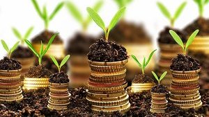 Півтисячі аграріїв Рівненщини отримають понад 30 мільйонів від держави