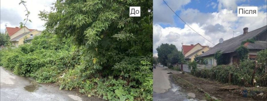 Муніципальна варта вирішує питання із занедбаними ділянками у Рівному