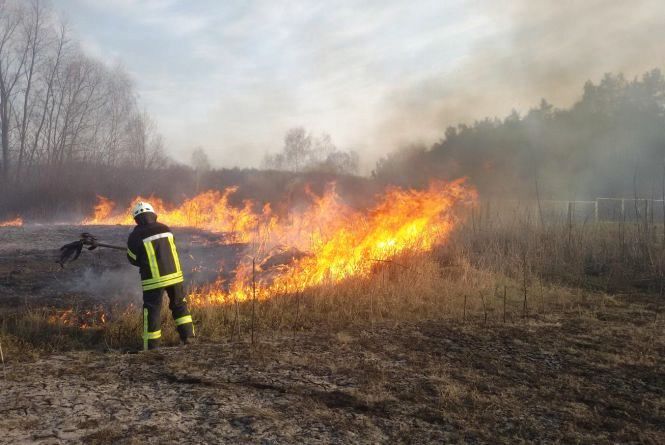 7 разів за добу рятувальники гасили палаючу суху траву на Рівненщині