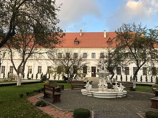 В Дубно презентували вражаючі історичні речі князів Острозьких (+ФОТО)