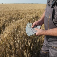 На Рівненщині викрили нахабне розкрадання державних угідь