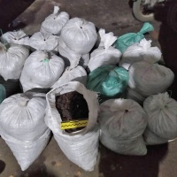 ЗА КЛОПОТАННЯМ ПРОКУРОРА НА САРНЕНЩИНІ АРЕШТОВАНО 355 КГ БУРШТИНУ
