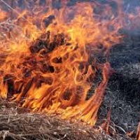 На 3 жителів Рівненщини склали адмінпротоколи за спалювання сухої трави