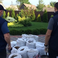 Бурштину на 30 мільйонів гривень вилучено на Рівненщині (+ФОТО)