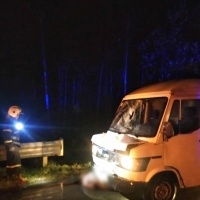 Поблизу Рокитного під колесами мікроавтобуса загинув пішохід