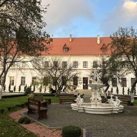 В Дубно презентували вражаючі історичні речі князів Острозьких (+ФОТО)